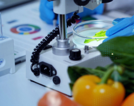 Ciencia de los Alimentos